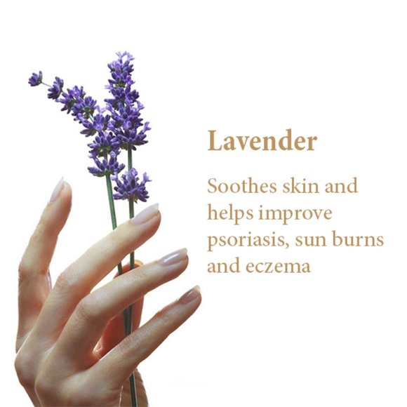 Moisture Bundle Moisturizer Face Hands and Body